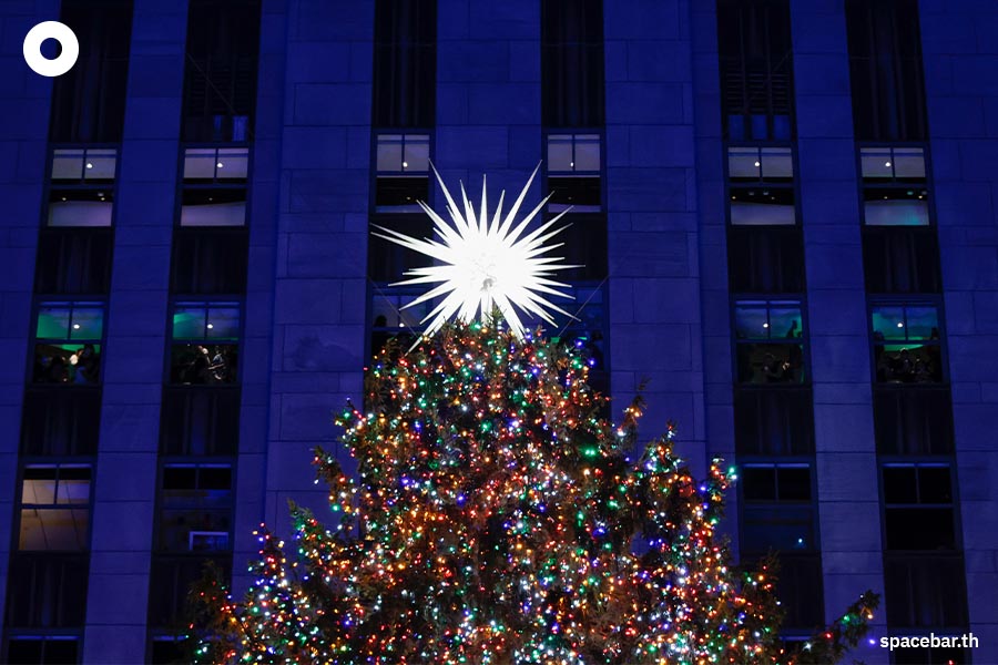 ในวันที่ต้นคริสต์มาสหายากราคาแพงกับหนทางที่ต้องเลือก! ‘ต้นแท้ หรือ ต้น