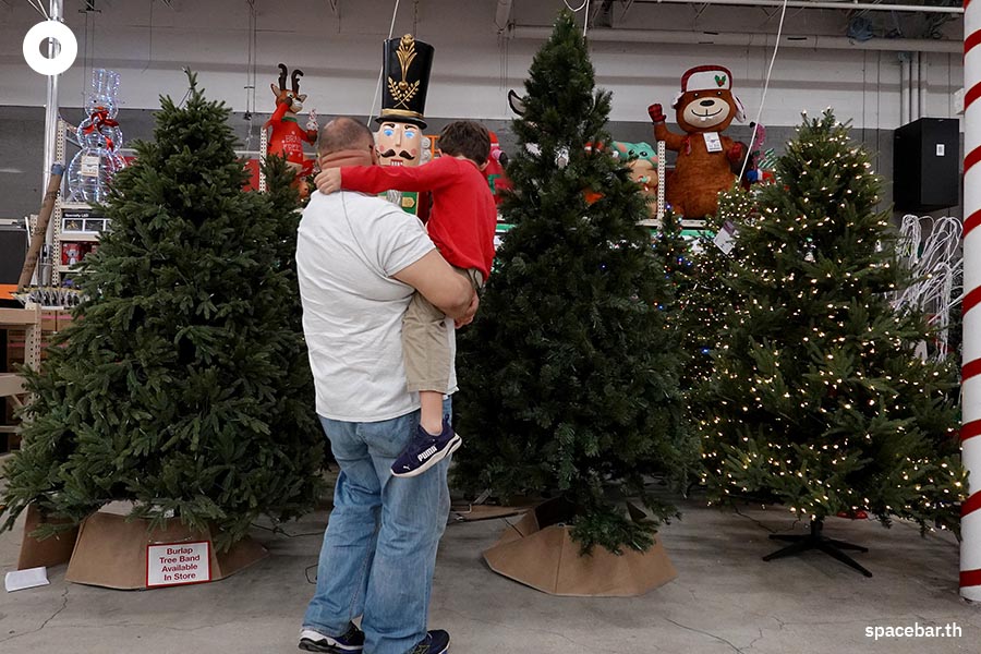 ในวันที่ต้นคริสต์มาสหายากราคาแพงกับหนทางที่ต้องเลือก! ‘ต้นแท้ หรือ ต้น