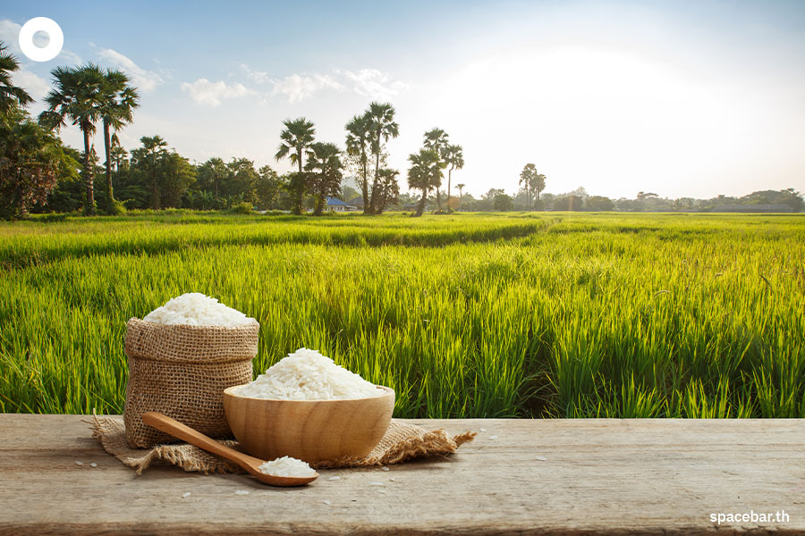 ข้าวทั่วโลกวิกฤต! ขาดแคลนหนักสุดในรอบ 20 ปี
