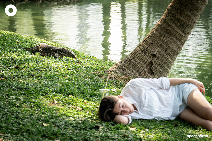 https://images.ctfassets.net/i3o8p9lzd06f/luglryxNWtQGt0WfQBpQd/1968c2da8aafd650bdaebeb68c9668f7/Photo-Story-Varanus-Lumphini-Park-SPACEBAR-Photo04