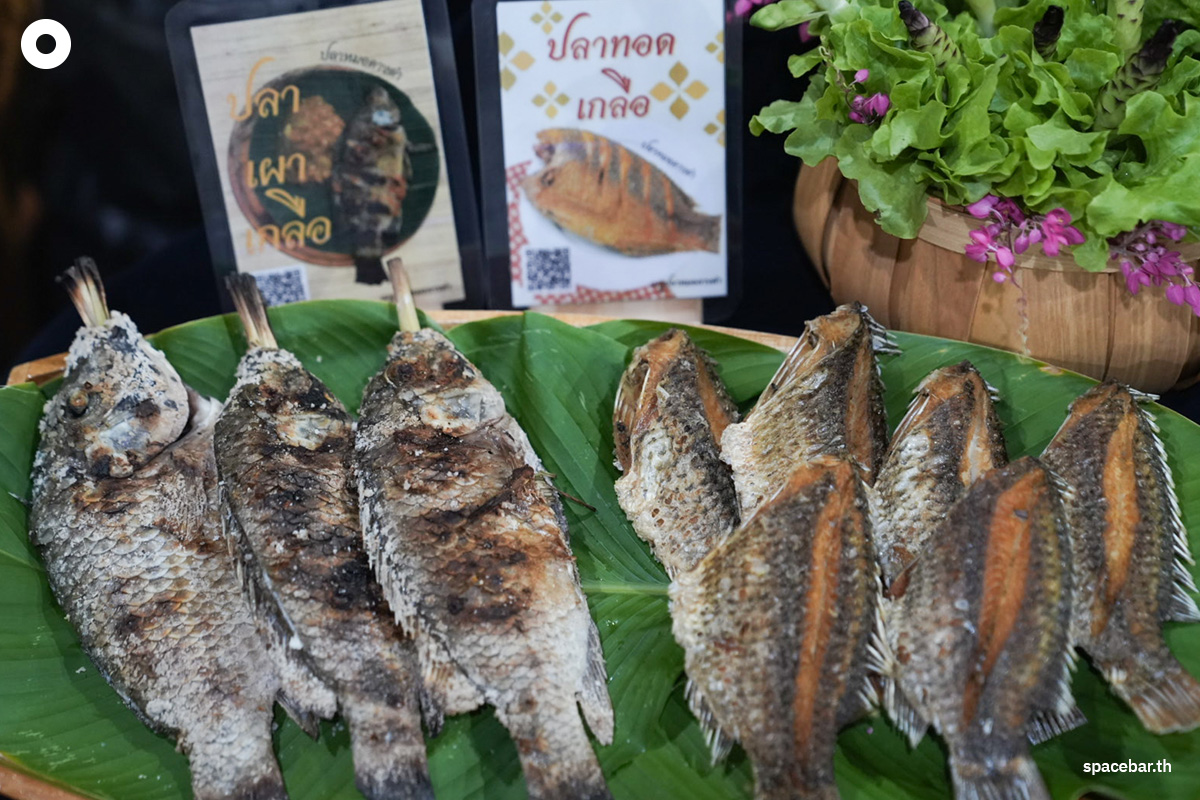Photo-stroy-Department-of-Fisheries-Blackchin-tilapia-crisis-SPACEBAR-Photo01.jpg