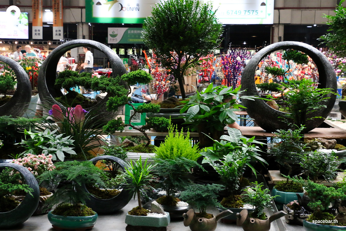 https://images.ctfassets.net/i3o8p9lzd06f/55cmMBXNHn8MhoAHaPqogX/e55e400733a36341362df3416c89688a/china-kunming-yunnan-dounan-flower-markets-SPACEBAR-Photo02