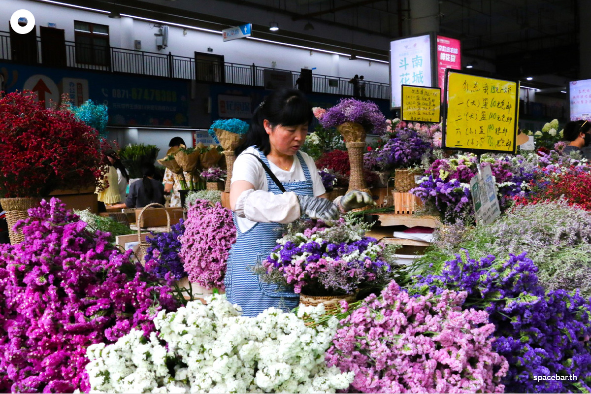 https://images.ctfassets.net/i3o8p9lzd06f/4LuVAuCH9atCwxWuwCdDoQ/5799ff09ef1d8c0d65e5265e903a0e3b/china-kunming-yunnan-dounan-flower-markets-SPACEBAR-Photo03