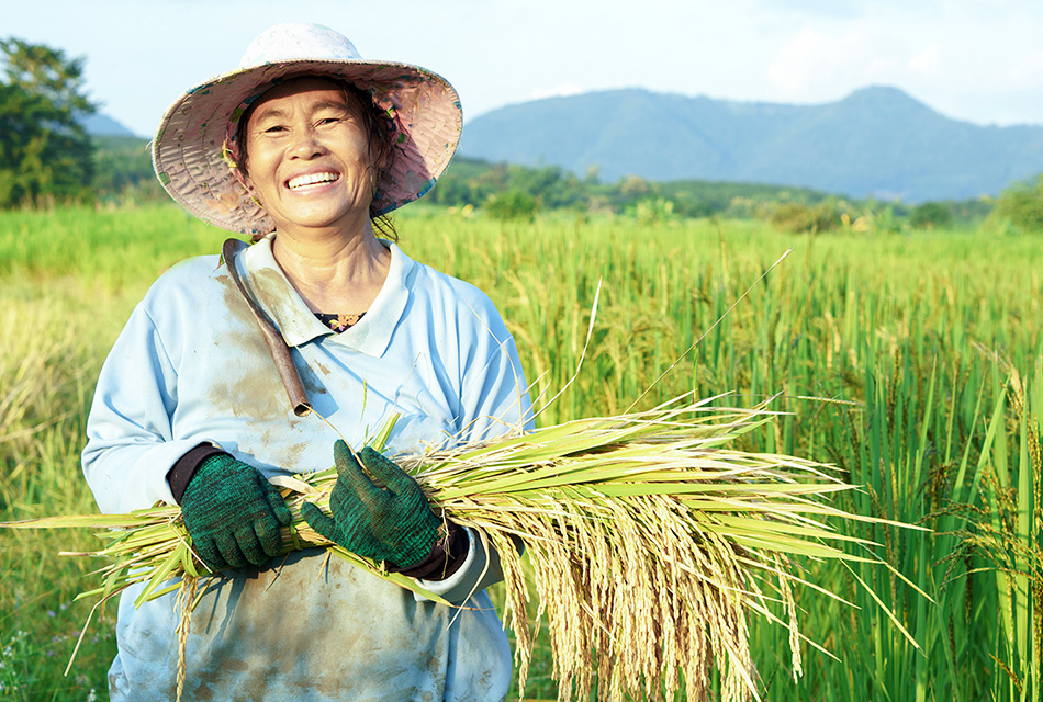 economic-farmer-paddy-ricefield-SPACEBAR-Thumbnail.jpg