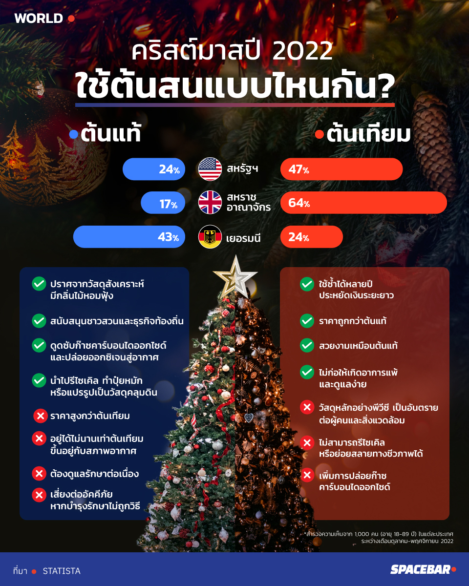 ในวันที่ต้นคริสต์มาสหายากราคาแพงกับหนทางที่ต้องเลือก! ‘ต้นแท้ หรือ ต้น