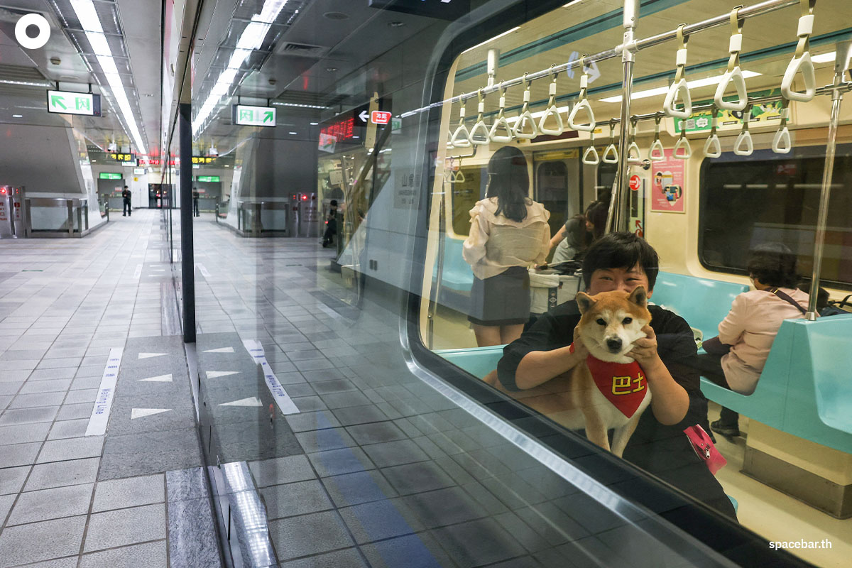 ผู้โดยสารพร้อมด้วยน้องหมาพันธุ์ชิบะขณะนั่งอยู่บนรถไฟใต้ดิน (Taipei Mass Rapid Transit / MRT) ที่อนุญาตให้เจ้าคู่หูเพื่อนซี้สี่ขาขึ้นได้ (pet-friendly train) ในไทเป ไต้หวัน เมื่อวันที่ 31 มีนาคม 2024 (Photo by I-Hwa CHENG / AFP)