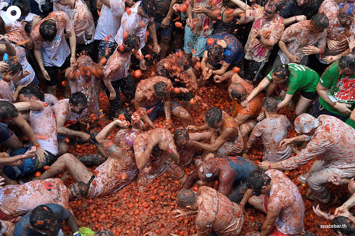 ผู้คนหลายพันคนกำลังปามะเขือเทศใส่กันในเทศกาลประจำปี ‘Tomatina’ ของสเปน ในเมืองบุญญ็อล แคว้นบาเลนเซีย ทางตะวันออกของประเทศ เมื่อวันที่ 28 สิงหาคม 2024 (Photo by Jose Jordan / AFP)