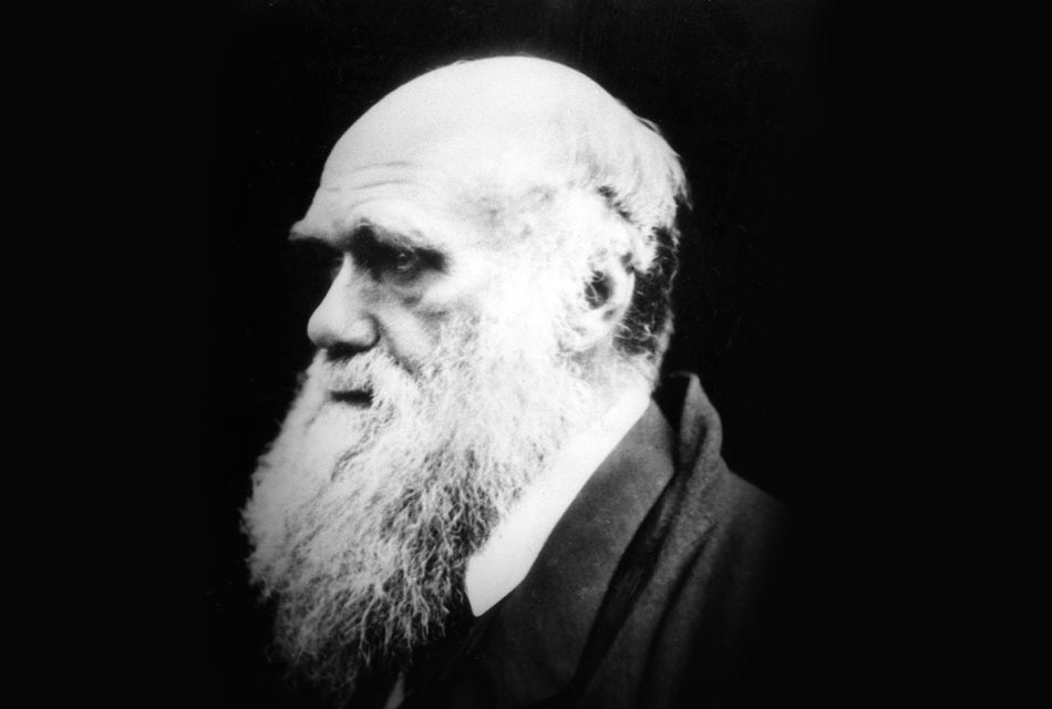 researchers-reveal-lost-library-of-charles-darwin-for-the-first-time-SPACEBAR-Thumbnail.jpg